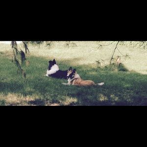 Meet your Posher, Joanna